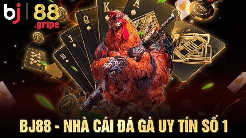 BJ88 32 BJ88 nhà cái Đá gà Casino uy tín số 1